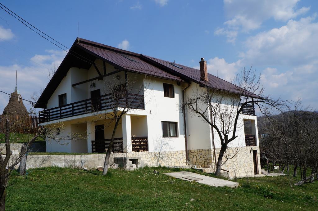 Casa Paltinu Hotel Lunca Mare Exterior photo